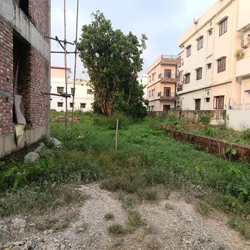 2025 09 25 imresizer