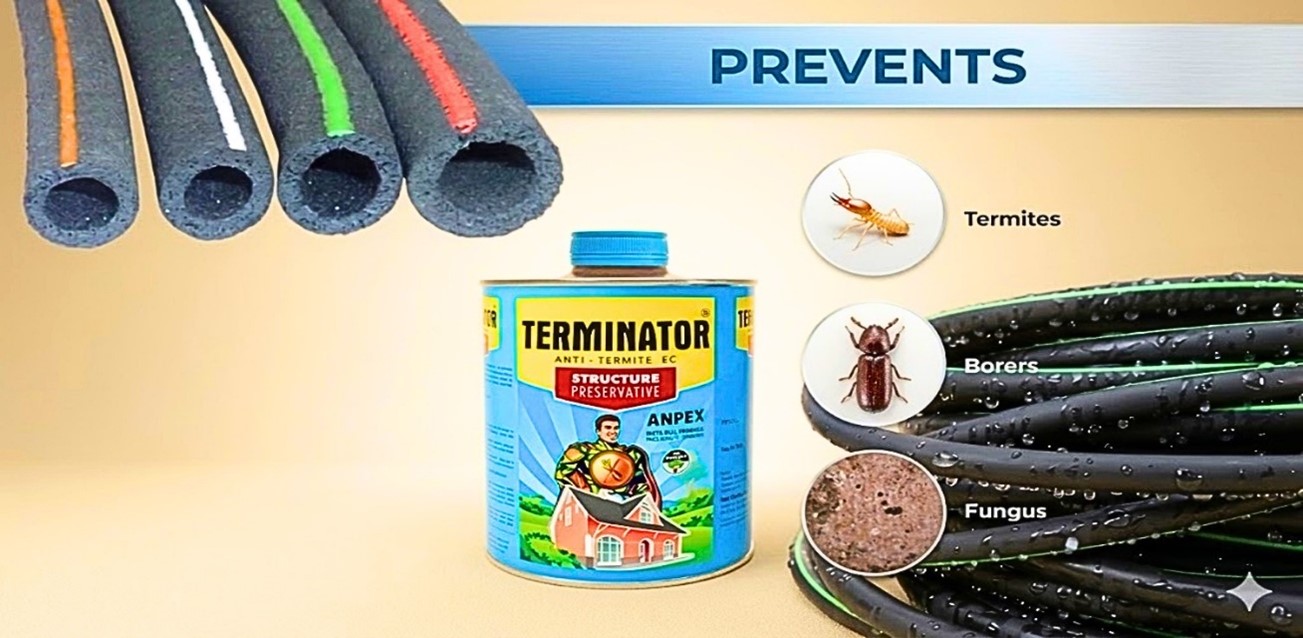 Why Is Termite Protection Important During New Home Construction